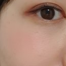 이트리얼 이미지