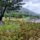 왕산리마을회관 이미지