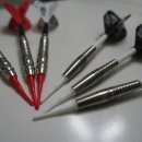 (주)피닉스다트 이미지