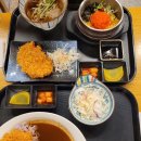 [체크인2] - 카츠젠 잠실월드타워점 / 잠실역 지하철 안 돈까스카레 짱 맛집