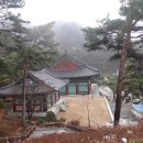 법인자연심