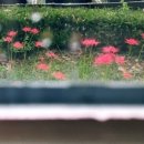 삼산바이오