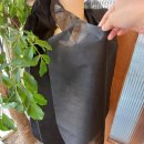 따식이문성점 이미지