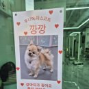 투디아 이미지