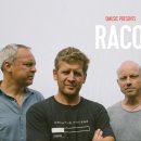 라쿤(Racoon) 이미지