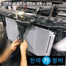 구미라지에타 티스토리