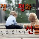 그래도 사랑해 이미지