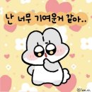 꾸꾸 이미지