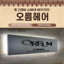 동탄 여울공원 족구장 | 동탄역미용실 C컬펌 오름헤어 동탄여울공원점 소리부원장님 후기