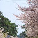 세븐일레븐대천신광장점