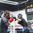 BOX-1복싱야당 이미지