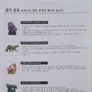 익투스 이미지