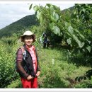 유리농원 이미지