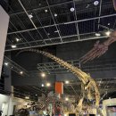 공룡공원 | 🦖비 오는 날 나들이 추천! 과천 국립과천과학관 자연사관 + 공룡공원 후기✨