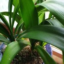 예로체한의원 이미지