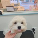 설기 미용실