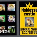 멍뭉이네 | (평택, 강아지, 고양이, 애견미용, 추천!) 멍뭉이쌀롱 편안한 반려동물 케어