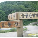 배내민박