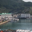 더(THE)티미 이미지