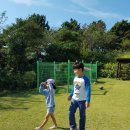 올리브낭 이미지