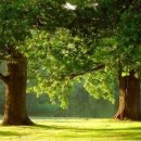 생의 공간 이미지