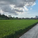 기지컴퍼니 | 2025.09.06 전주 대형카페로 유명한 포랩스커피컴퍼니 본점 방문 후기