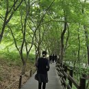 윤정 이미지