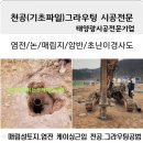 천공 태양광발전소 이미지