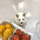 투테일스 이미지