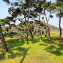 솔밭매점 이미지