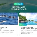 세민투어 이미지