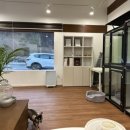 벨루스독 이미지