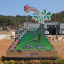 삼척장뇌