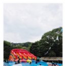 대도매점 - 구미시 수출대로9길 39 | 장흥계곡 맛집 백숙과 워터슬라이드 둘 다 즐긴 후기