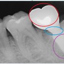 목포명인치과의원 이미지