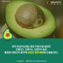 아보카도