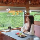 41190-01-07-250 | 기차타고 전국일주? 해랑열차 2박3일 국내 기차 여행 추천 가격