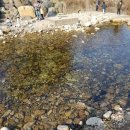 계룡산힐링민박 이미지