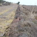 향토목장 이미지