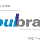 솔브레인