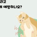 고양 우리아이 동물병원 이미지