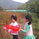 2017년 하늘반 텃밭 - 작은농부 이야기 (봉숭아 씨앗과 메밀씨앗 모으기) 이미지