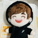 MINI DOLL 이미지