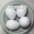 김판정농장 | 무항생제계란 정기배송 조인 1+등급 백색란 10구