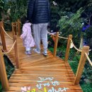 경상북도산림과학박물관(휴관) | 청주 산림과학박물관 후기｜아이랑 실내 가볼만한곳·미동산수목원 추천코스