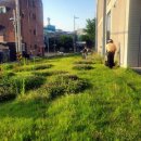 도봉-도봉-서울도봉-2240 이미지