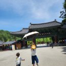 오신 | 김천 직지사 부처님오신날 후기｜무료 절밥 비빔밥·직지문화공원 산책