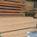 행복한나무 이미지