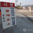 동일농장 연합뉴스