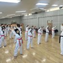 짱태권도 이미지